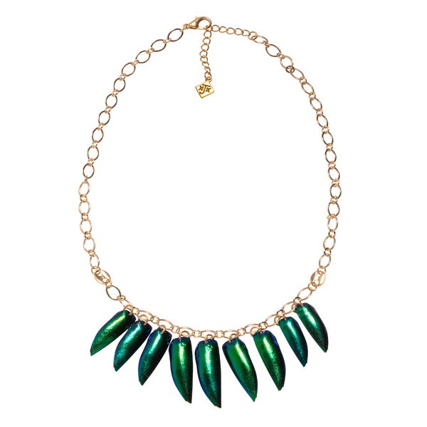 Beetle Wing On Open Link Chain Choker