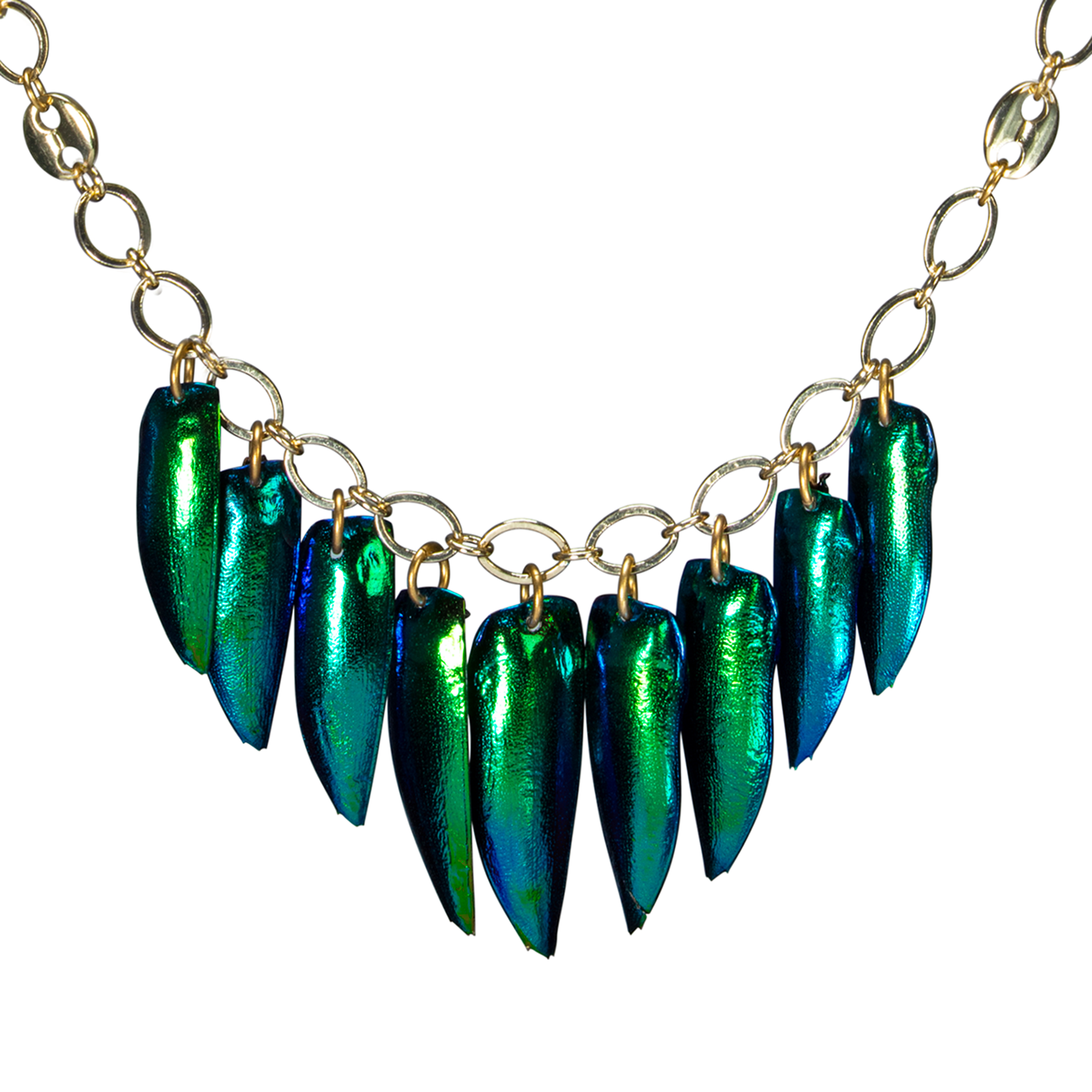 Beetle Wing On Open Link Chain Choker