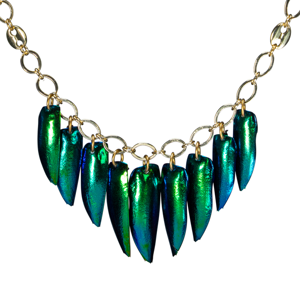 Beetle Wing On Open Link Chain Choker